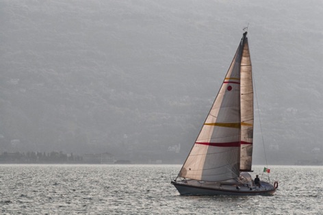 Vela Vela